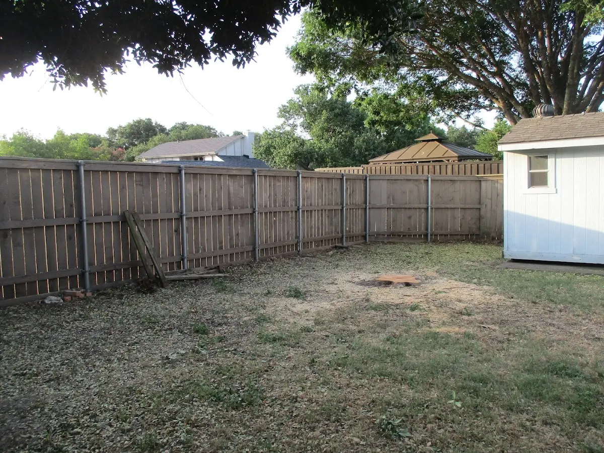 Cleared yard after professional tree removal in Waikoloa